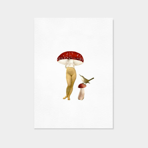 Lady Mushroom | Amy Ross