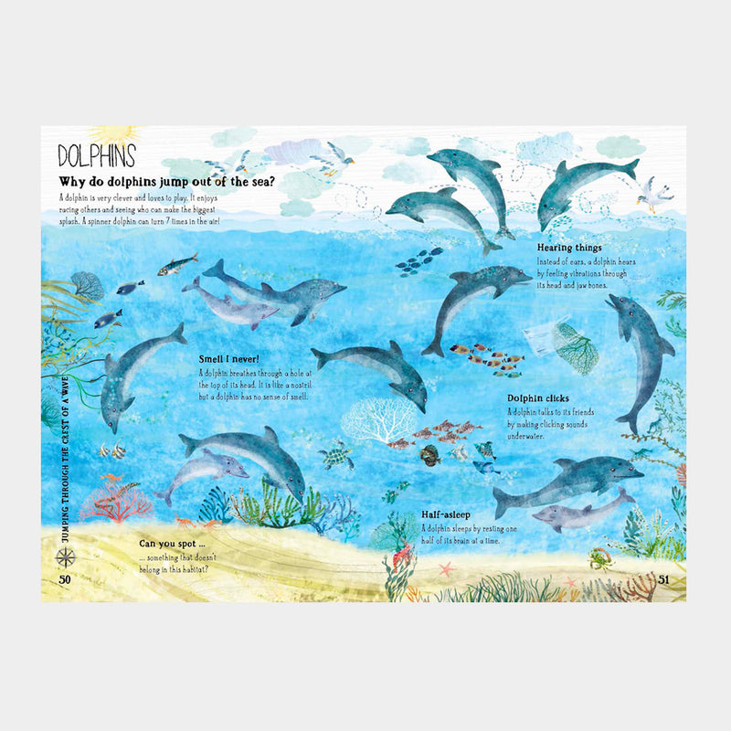 The Big Book of Blue