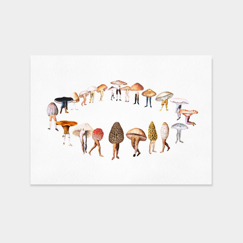 Fairy Ring | Amy Ross