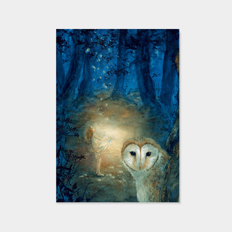 Catching Stars | Daniela Drescher