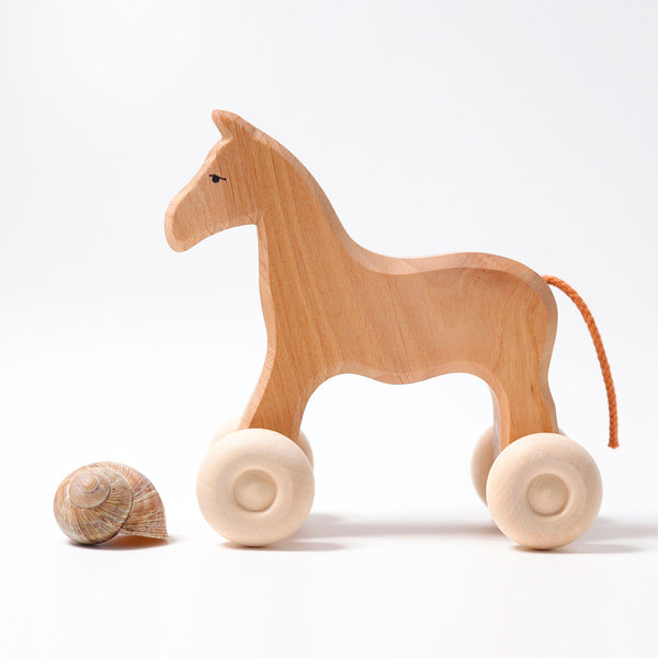 Wooden Horse